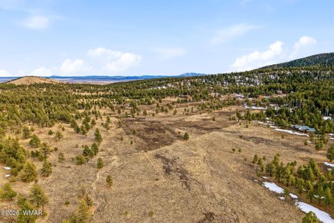 Tiny photo for 20 County Road N1332, Greer, AZ 85927 (MLS # 259423)
