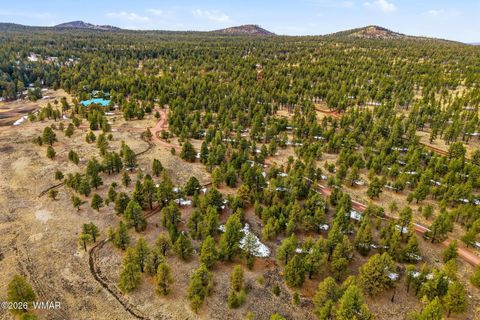 Tiny photo for 20 County Road N1332, Greer, AZ 85927 (MLS # 259423)