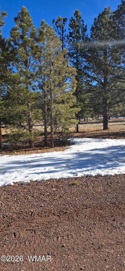 Tiny photo for 20 County Road N1332, Greer, AZ 85927 (MLS # 259423)