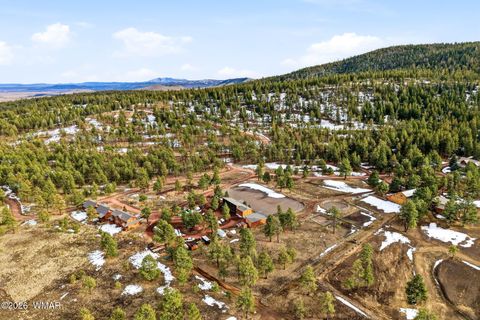 Tiny photo for 20 County Road N1332, Greer, AZ 85927 (MLS # 259423)