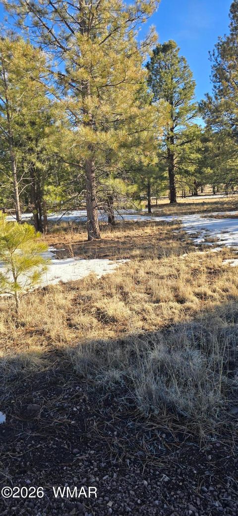 Tiny photo for 20 County Road N1332, Greer, AZ 85927 (MLS # 259423)