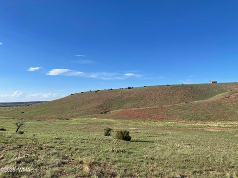 Tiny photo for 1292 County Road, Concho, AZ 85924 (MLS # 262900)