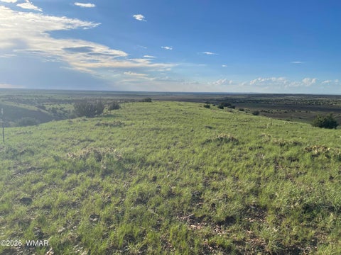 Tiny photo for 1292 County Road, Concho, AZ 85924 (MLS # 262900)