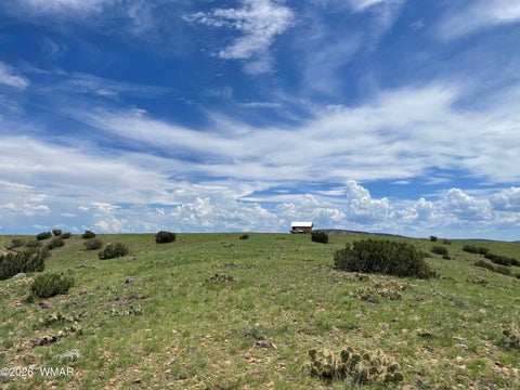 Tiny photo for 1292 County Road, Concho, AZ 85924 (MLS # 262900)