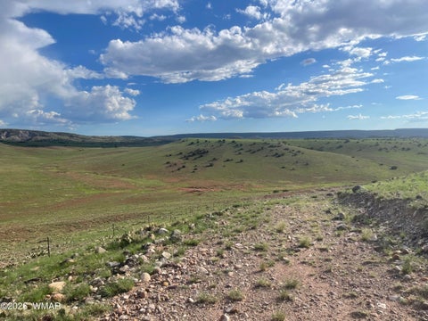 Tiny photo for 1292 County Road, Concho, AZ 85924 (MLS # 262900)