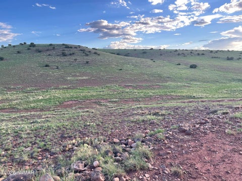 Tiny photo for 1292 County Road, Concho, AZ 85924 (MLS # 262900)