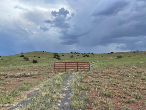 Tiny photo for 1292 County Road, Concho, AZ 85924 (MLS # 262900)