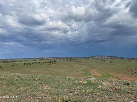Tiny photo for 1292 County Road, Concho, AZ 85924 (MLS # 262900)
