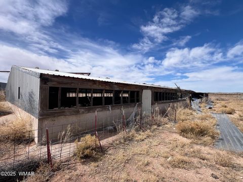 Tiny photo for Lot 27 Snowflake Farms, Snowflake, AZ 85937 (MLS # 255308)