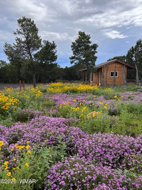 Tiny photo for 26 Palomino Place, Vernon, AZ 85940 (MLS # 261426)