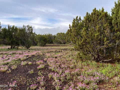 Tiny photo for 26 Palomino Place, Vernon, AZ 85940 (MLS # 261426)