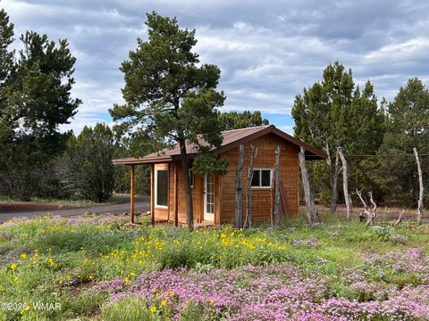 Tiny photo for 26 Palomino Place, Vernon, AZ 85940 (MLS # 261426)