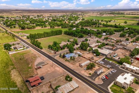Tiny photo for 126 E Cattle Lane, Taylor, AZ 85939 (MLS # 256855)
