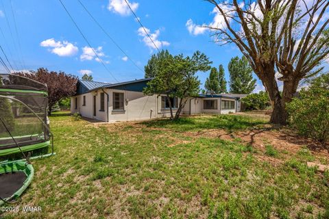 Tiny photo for 126 E Cattle Lane, Taylor, AZ 85939 (MLS # 256855)