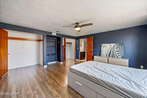 Tiny photo for 126 E Cattle Lane, Taylor, AZ 85939 (MLS # 256855)