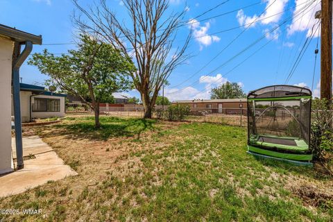 Tiny photo for 126 E Cattle Lane, Taylor, AZ 85939 (MLS # 256855)