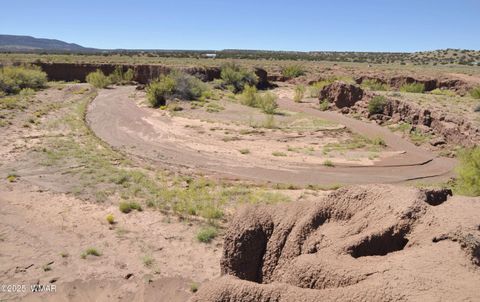 Tiny photo for 32 N8429, Concho, AZ 85924 (MLS # 258163)