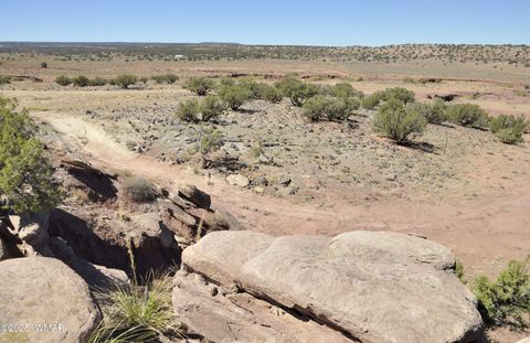 Tiny photo for 32 N8429, Concho, AZ 85924 (MLS # 258163)