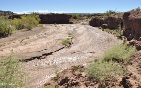 Tiny photo for 32 N8429, Concho, AZ 85924 (MLS # 258163)