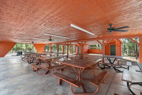 Tiny photo for 2261 E Turtle Creek Road, Show Low, AZ 85901 (MLS # 258833)