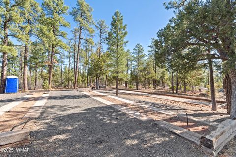 Tiny photo for 2261 E Turtle Creek Road, Show Low, AZ 85901 (MLS # 258833)