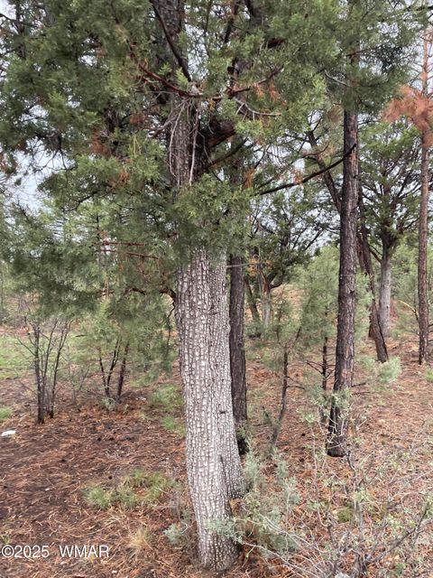 Tiny photo for 590 S Pine Haven Drive, Show Low, AZ 85901 (MLS # 257888)