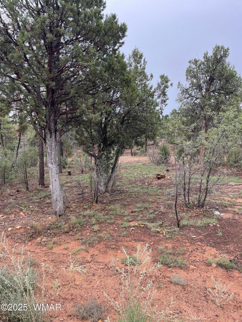 Tiny photo for 590 S Pine Haven Drive, Show Low, AZ 85901 (MLS # 257888)