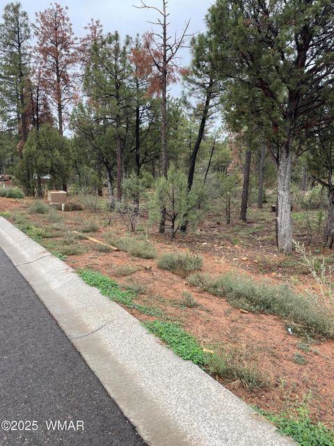 Tiny photo for 590 S Pine Haven Drive, Show Low, AZ 85901 (MLS # 257888)