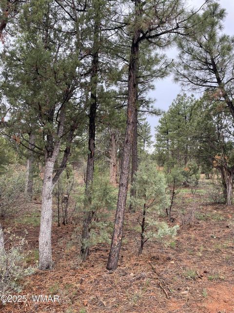 Tiny photo for 590 S Pine Haven Drive, Show Low, AZ 85901 (MLS # 257888)