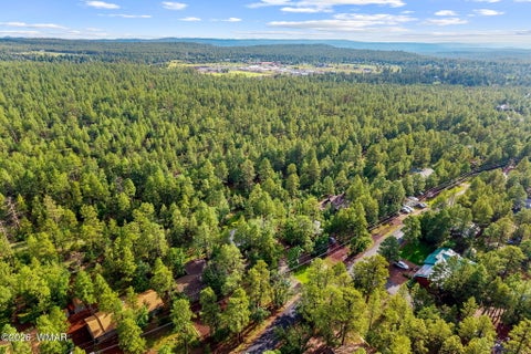 Tiny photo for 681 W Apache Lane, Lakeside, AZ 85929 (MLS # 262724)