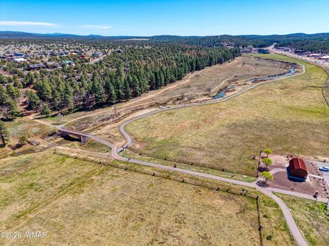 Tiny photo for 1001 S Lorenzo Sitgreaves Drive, Show Low, AZ 85901 (MLS # 260200)