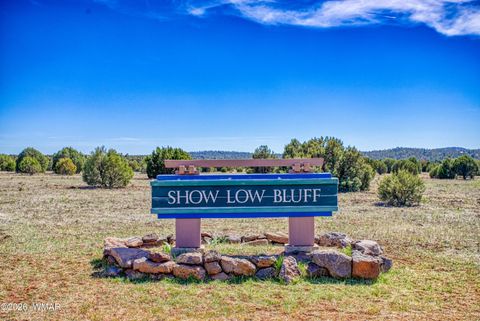 Tiny photo for 1001 S Lorenzo Sitgreaves Drive, Show Low, AZ 85901 (MLS # 260200)