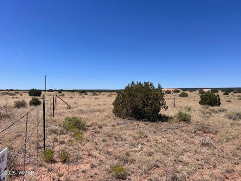 Tiny photo for 000 Bunkhouse Road, Snowflake, AZ 85937 (MLS # 258143)