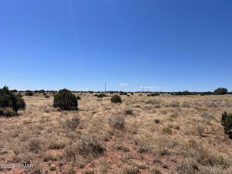 Tiny photo for 000 Bunkhouse Road, Snowflake, AZ 85937 (MLS # 258143)
