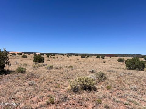 Tiny photo for 000 Bunkhouse Road, Snowflake, AZ 85937 (MLS # 258143)