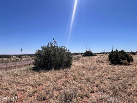Tiny photo for 000 Bunkhouse Road, Snowflake, AZ 85937 (MLS # 258143)