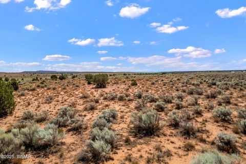 Tiny photo for 0 Bourdon Ranch 404-04-010A Road, Taylor, AZ 85939 (MLS # 257662)