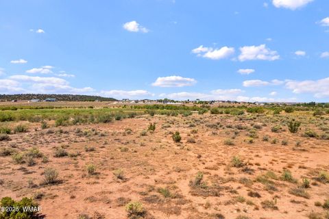 Tiny photo for 0 Bourdon Ranch 404-04-010A Road, Taylor, AZ 85939 (MLS # 257662)