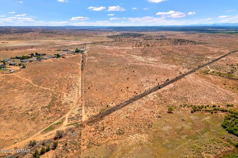 Tiny photo for 0 Bourdon Ranch 404-04-010A Road, Taylor, AZ 85939 (MLS # 257662)