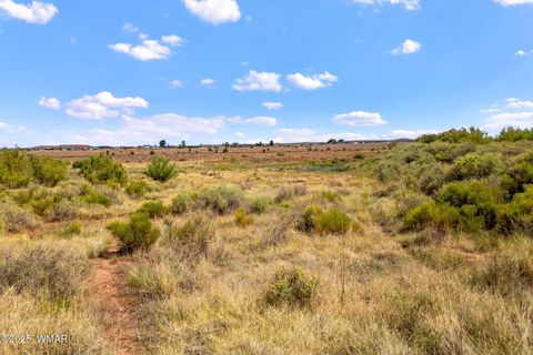 Tiny photo for 0 Bourdon Ranch 404-04-010A Road, Taylor, AZ 85939 (MLS # 257662)