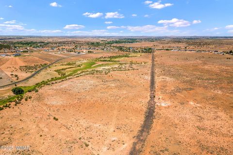 Tiny photo for 0 Bourdon Ranch 404-04-010A Road, Taylor, AZ 85939 (MLS # 257662)