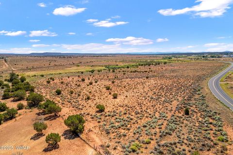 Photo of 0 Bourdon Ranch 404-04-010A Road, Taylor, AZ 85939 (MLS # 257662)