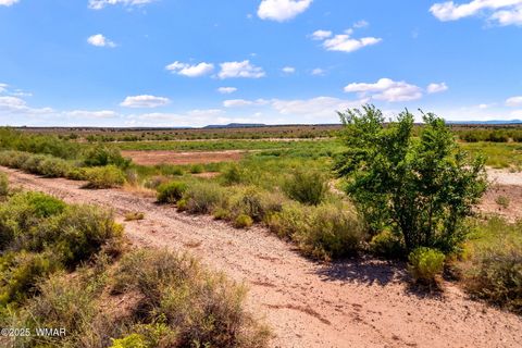 Tiny photo for 0 Bourdon Ranch 404-04-010A Road, Taylor, AZ 85939 (MLS # 257662)