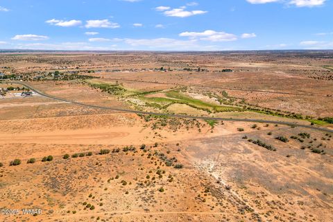 Tiny photo for 0 Bourdon Ranch 404-04-010A Road, Taylor, AZ 85939 (MLS # 257662)