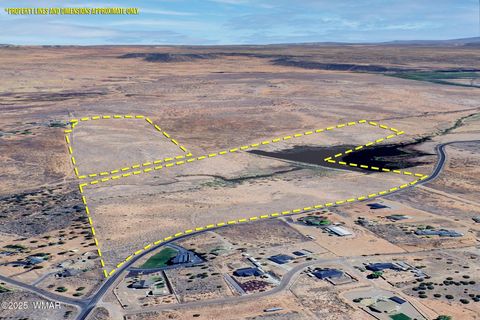 Tiny photo for 0 Bourdon Ranch 404-04-010A Road, Taylor, AZ 85939 (MLS # 257662)