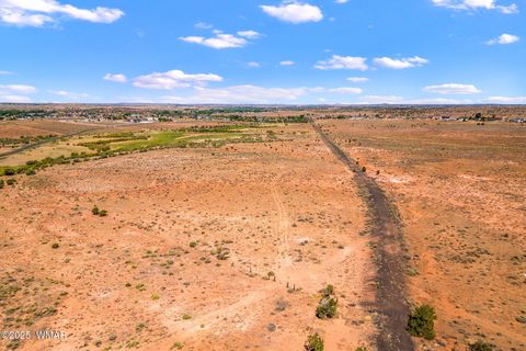 Tiny photo for 0 Bourdon Ranch 404-04-010A Road, Taylor, AZ 85939 (MLS # 257662)