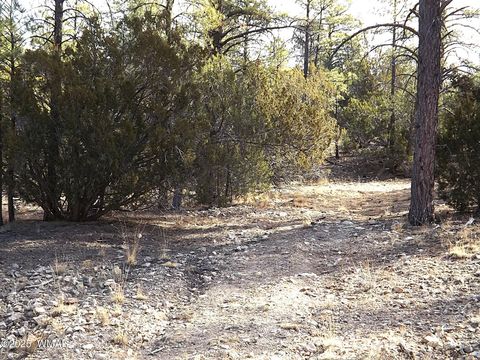 Photo of 3341 Sawmill Ridge Loop, Heber, AZ 85928 (MLS # 254090)