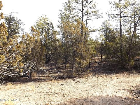 Tiny photo for 3341 Sawmill Ridge Loop, Heber, AZ 85928 (MLS # 254090)
