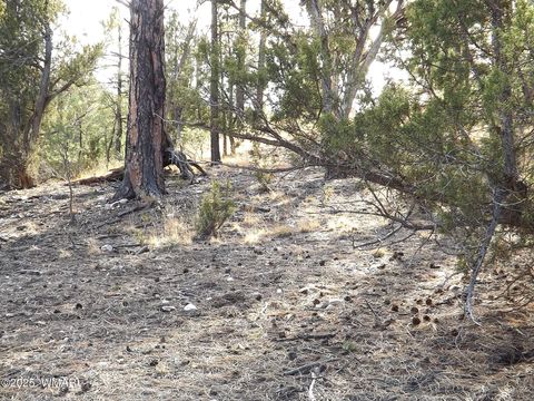 Tiny photo for 3341 Sawmill Ridge Loop, Heber, AZ 85928 (MLS # 254090)