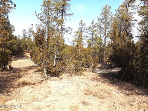 Tiny photo for 3341 Sawmill Ridge Loop, Heber, AZ 85928 (MLS # 254090)